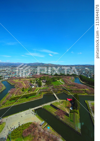 櫻花盛開前的五棱郭公園景色 櫻花盛開前的五棱郭公園景色 113844878