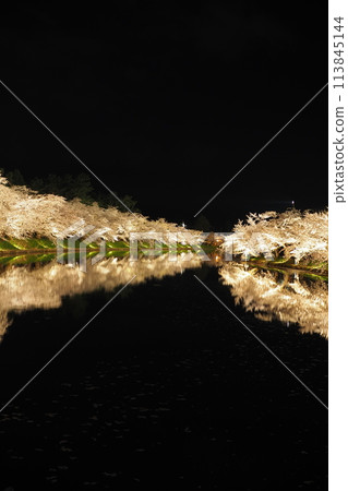 弘前公園夜間燈光下的櫻花美景 113845144