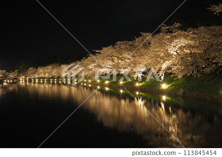 Spectacular view of illuminated cherry blossoms at night in Hirosaki Park 113845454