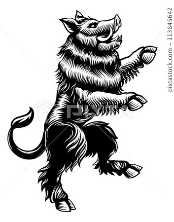 Boar Wild Hog Crest Rampant Heraldic Coat Of Arms - Stock Illustration ...