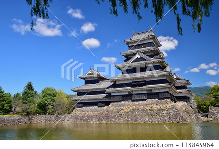 Matsumoto Castle, a national treasure, stands out against the blue sky 113845964