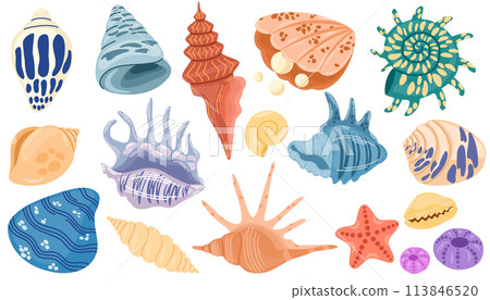 1811_shells_set 113846520