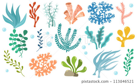 1810_coral_set 113846521