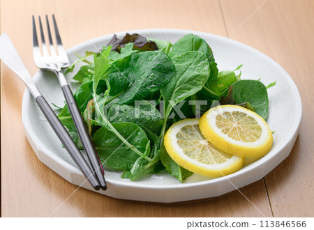 Fresh and simple baby leaf salad Fresh and simple baby leaf salad 113846566