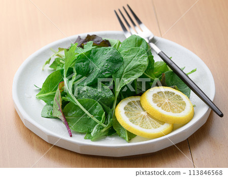 Fresh and simple baby leaf salad 113846568