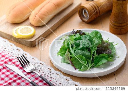 Fresh and simple baby leaf salad 113846569