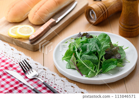 Fresh and simple baby leaf salad 113846571