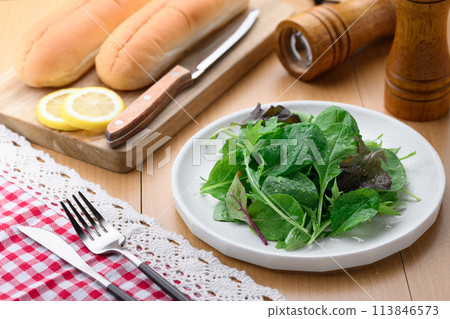 Fresh and simple baby leaf salad Fresh and simple baby leaf salad 113846573