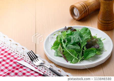 新鮮簡單的嬰兒葉沙拉 新鮮簡單的嬰兒葉沙拉 113846580