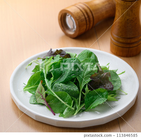 Fresh and simple baby leaf salad 113846585