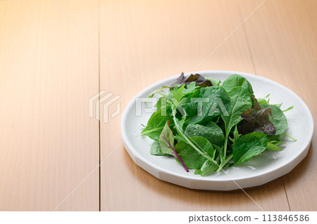 Fresh and simple baby leaf salad 113846586