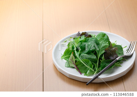 新鮮簡單的嬰兒葉沙拉 113846588