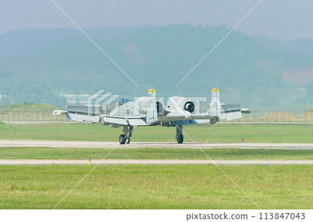 美國空軍 A-10A Thunderbolt II 著陸 美國空軍 A-10A Thunderbolt II 著陸 113847043