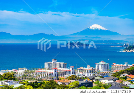 Spring scenery of Mt. Fuji and Shonan Coast 113847539