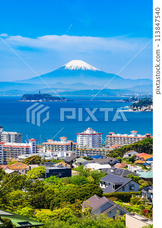 富士山和湘南海岸的春天景色 富士山和湘南海岸的春天景色 113847540