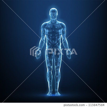 Human body. Abstract vector. Digital anatomy, Medical technology, Muscle structure. Human body. Abstract vector. Digital anatomy, Medical technology, Muscle structure. 113847584