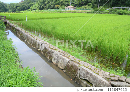 吉克故里村初夏 吉克故里村初夏 113847613