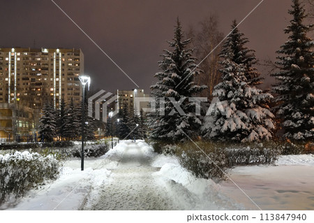 Fragment of a winter city spruce park in Moscow, Russia Fragment of a winter city spruce park in Moscow, Russia 113847940