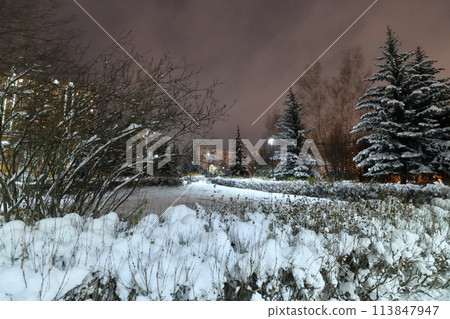 Fragment of a winter city spruce park in Moscow, Russia Fragment of a winter city spruce park in Moscow, Russia 113847947