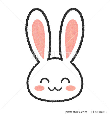 Smiling Rabbit Face 113848062