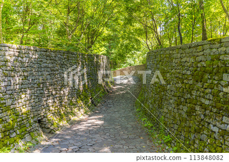 A narrow path surrounded by mossy rock walls A narrow path surrounded by mossy rock walls 113848082