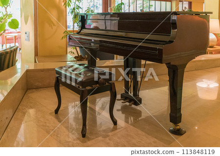 A grand piano at the hotel entrance 113848119