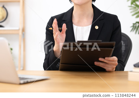 Businesswoman, middle-aged woman, lawyer, no face 113848244