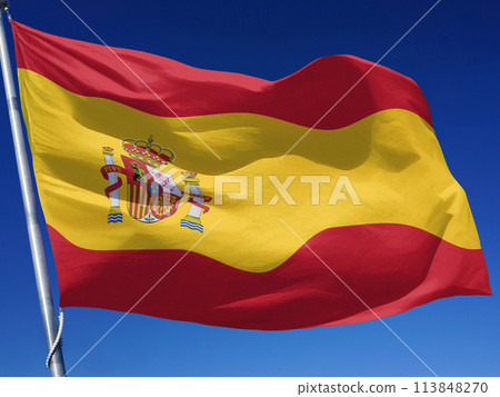 Flag of the Kingdom of Spain 113848270