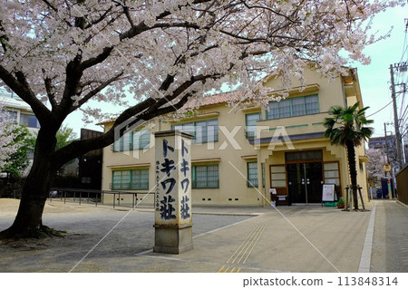 Manga mecca: Tokiwa-so Manga Museum and cherry blossoms in full bloom 113848314