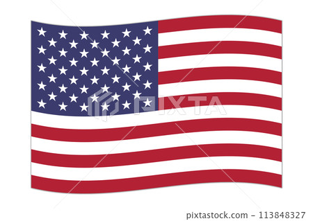 Waving flag of the country USA. Vector illustration. 113848327