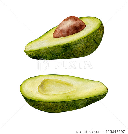 Half Avocado Watercolor illustration. Hand drawn clipart on isolated background. Botanical painting of tropical Fruit. Drawing of green Vegetable for food packaging design. Plant sketch for kitchen Half Avocado Watercolor illustration. Hand drawn clipart on isolated background. Botanical painting of tropical Fruit. Drawing of green Vegetable for food packaging design. Plant sketch for kitchen 113848397