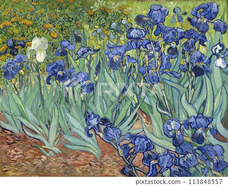 Irises by Vincent van Gogh, 1889 Irises by Vincent van Gogh, 1889 113848557
