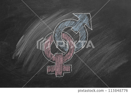 Female and male gender symbols Female and male gender symbols 113848776