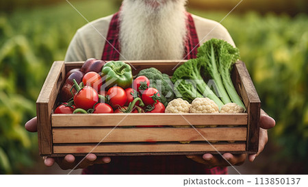 Man holding a basket full of freshly harvested vegetables in the garden. Generative Ai 113850137