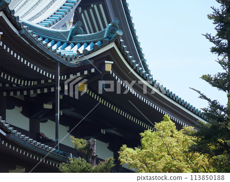 新鮮綠樹和寺廟屋頂的美麗春天風景 113850188
