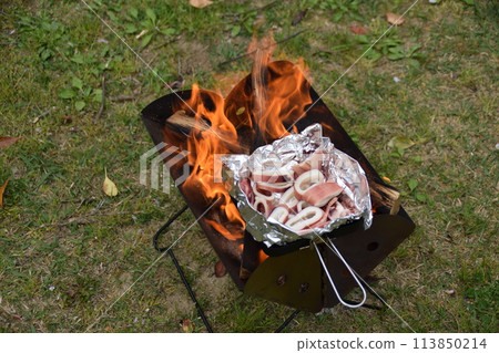 Camp Camp 113850214