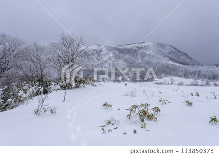 Image of snowshoe hiking at Oyama Kyoganari Image of snowshoe hiking at Oyama Kyoganari 113850373