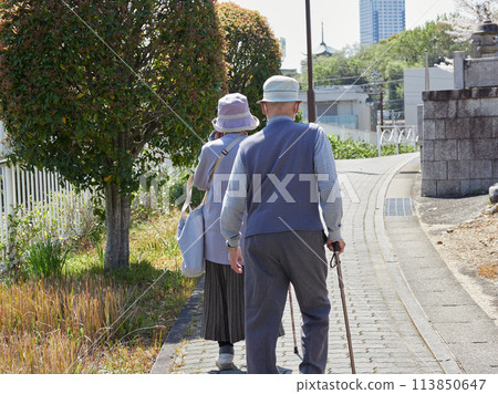 Senior couple walking on a city street in the spring afternoon 113850647