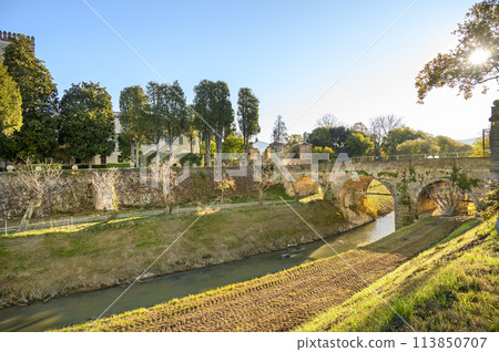 A narrow river flows under a stone medieval bridge against the backdrop of spring vegetation and blue sky A narrow river flows under a stone medieval bridge against the backdrop of spring vegetation and blue sky 113850707