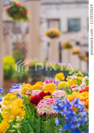 春天的久屋大通花園Florie，花朵盛開<愛知縣名古屋市> 113850824