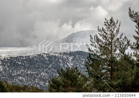 A snowy mountain peaks through trees in natural landscape 113850844