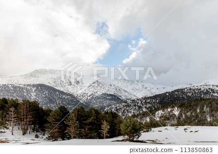 Snowcovered mountains with trees in the foreground under a cloudy sky 113850863