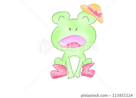 Singing frog 113851124