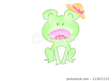 Singing frog Singing frog 113851131