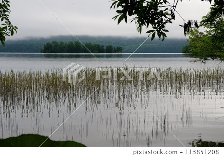 Lake Akan, surrounded by nature and fresh greenery 113851208