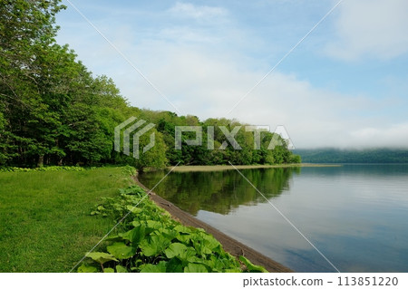 Lake Akan, surrounded by nature and fresh greenery 113851220