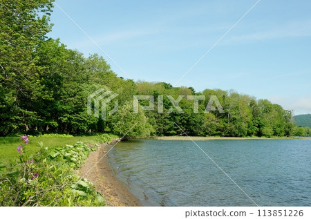 Lake Akan, surrounded by nature and fresh greenery Lake Akan, surrounded by nature and fresh greenery 113851226