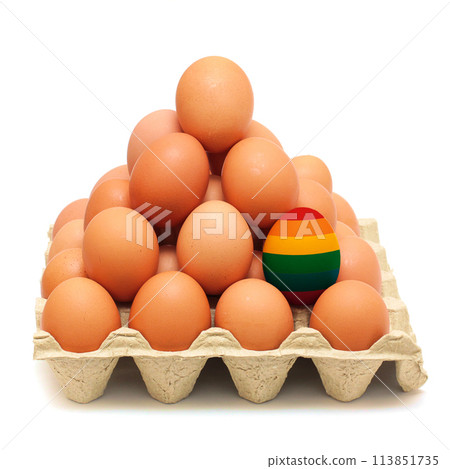 Egg with rainbow colors of the LGBTQ+ flag with other many eggs in cardboard box Egg with rainbow colors of the LGBTQ+ flag with other many eggs in cardboard box 113851735