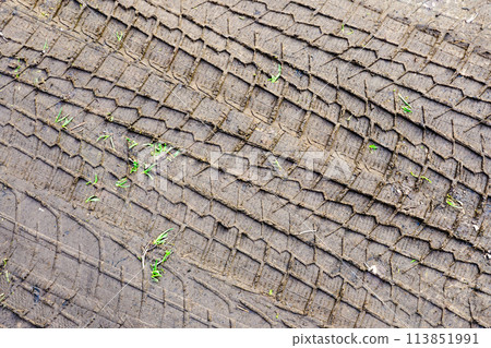 Car tire tread pattern prints in the mud, wheel protector marks texture, tyre tracks in the mud Car tire tread pattern prints in the mud, wheel protector marks texture, tyre tracks in the mud 113851991
