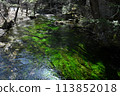 流經上高地的清澈河流 113852018